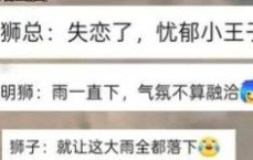 长隆淋雨狮子成网红，动物园揭秘：这是天性使然