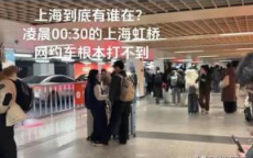 车站千人排队打车 有人靠蹭车回市区