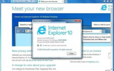 陈星旭王玉雯IE浏览器