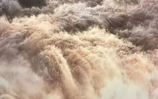 380万元泼墨画作：历经磨难，艺术重生