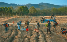 种地吧：探寻农业现代化与乡村振兴的绿色之路