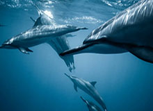 陈星旭温暖回应粉丝,传递正能量