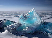 丁禹兮：爱情与财富的完美融合——钱在哪，爱就在哪